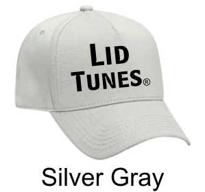 Lid Tunes Silver Gray Hat